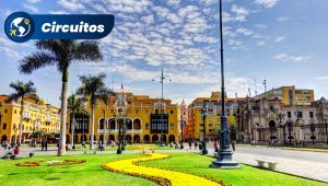 Um Despertar em Machu Picchu